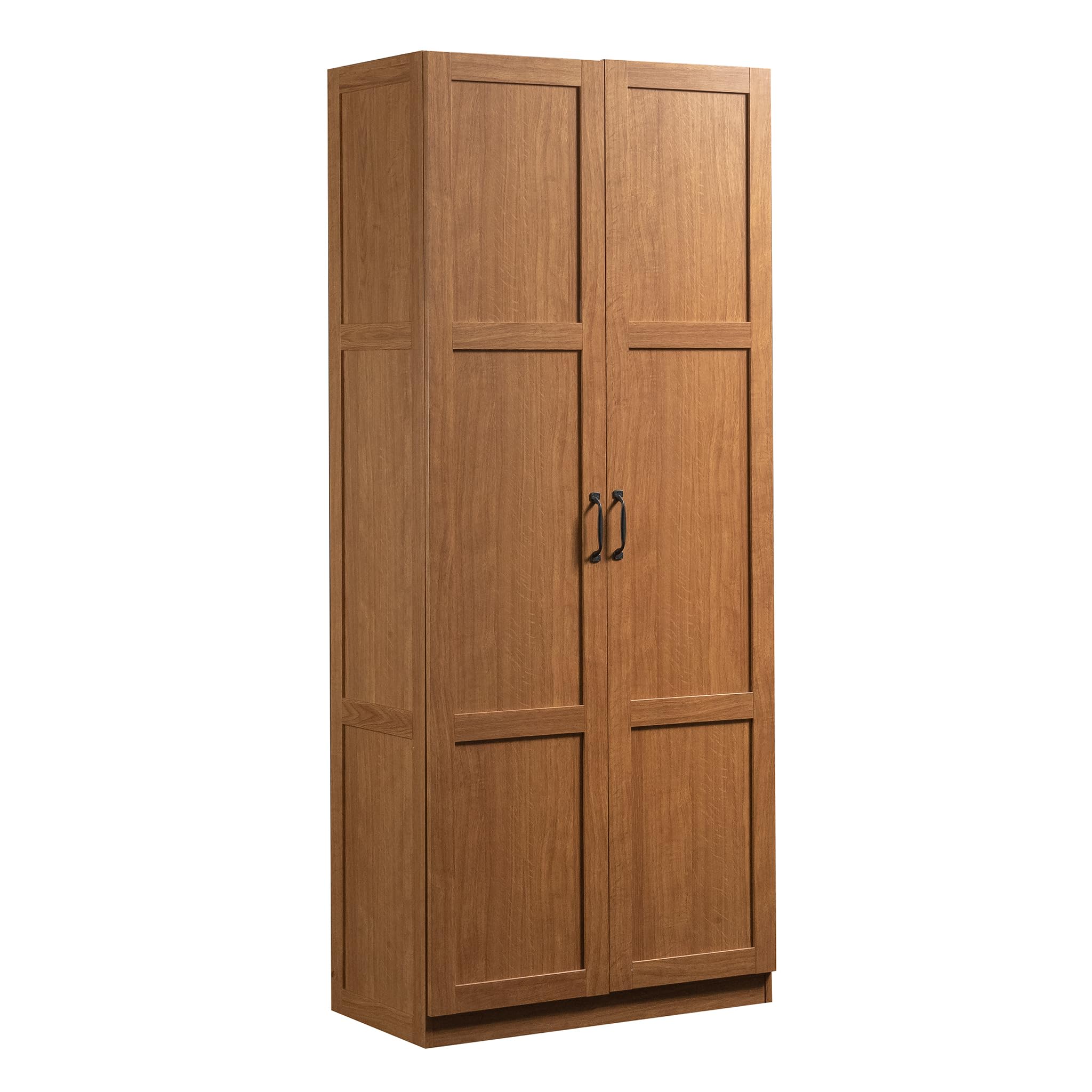 Storage Cabinet with Adjustable Shelves